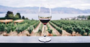 Assine o Clube Wine com 70% de desconto – cada garrafa sai por apenas R$ 16,87!