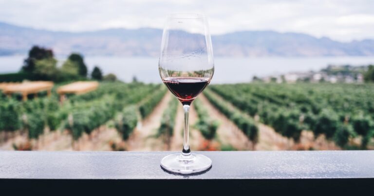 Assine o Clube Wine com 70% de desconto – cada garrafa sai por apenas R$ 16,87!