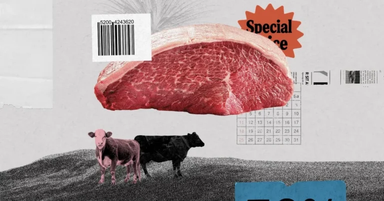 Preços da carne bovina sobem em 2026 após 2 anos de baixa