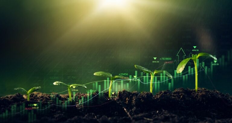 Investimentos para iniciantes: guia simples para começar sem medo